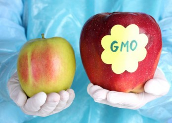 GMO has Got to Go