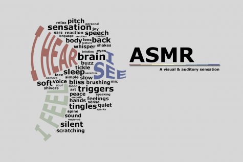 ASMR? You Decide
