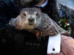 Punxsutawney Phil Has Spoken