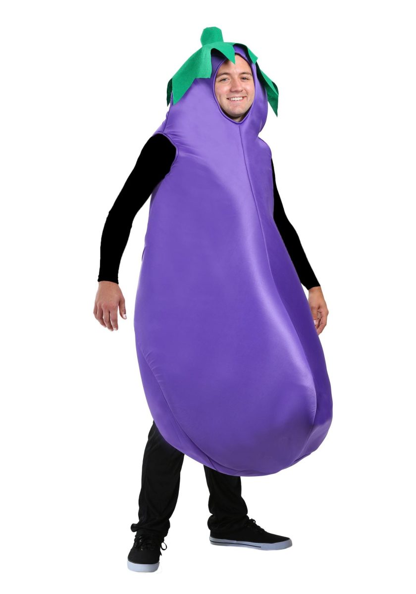 adult-eggplant-costume